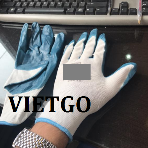 gangtay-vietgo-280119
